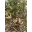 Little Dutch plüss őzike - Fairy Garden