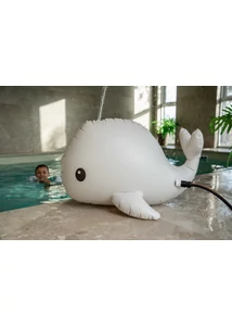 Filibabba Spriccelős bálna