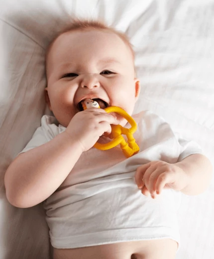 Rágómakik és makis kiegészítők