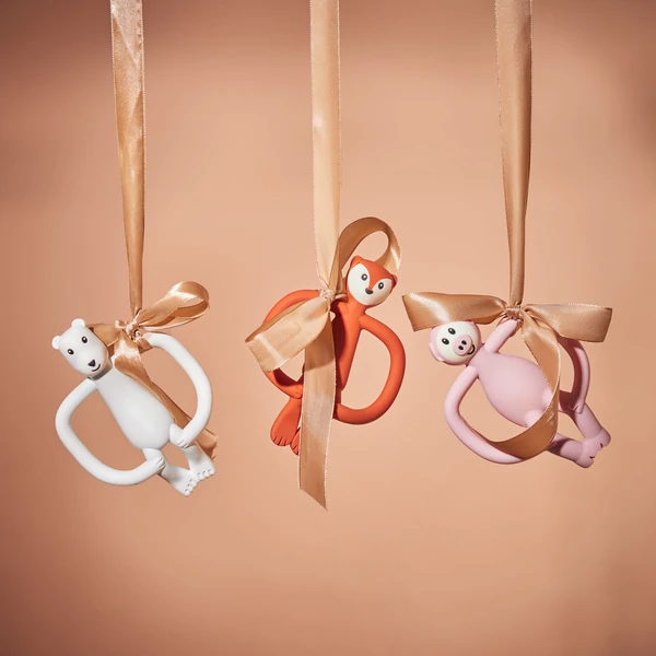 Rágózoo - Rágójegesmaci