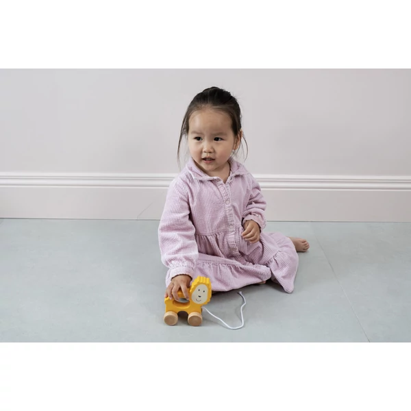 MM Gurulós fajáték - oroszlános