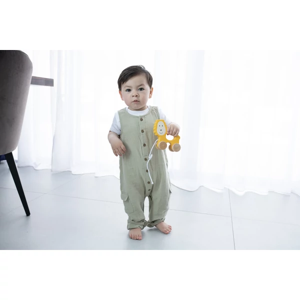 MM Gurulós fajáték - oroszlános