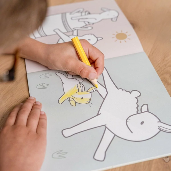 LITTLE DUTCH KIFESTŐ FÜZET - LITTLE FARM