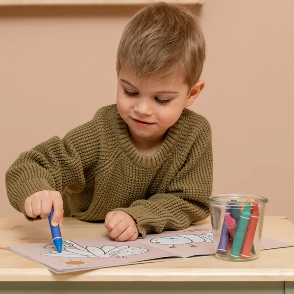 LITTLE DUTCH LEMOSHATÓ ZSÍRKRÉTA KÉSZLET (8 DB-OS)