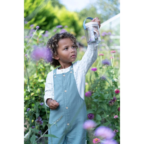 Little Dutch bogárnézegető - Forest Friends