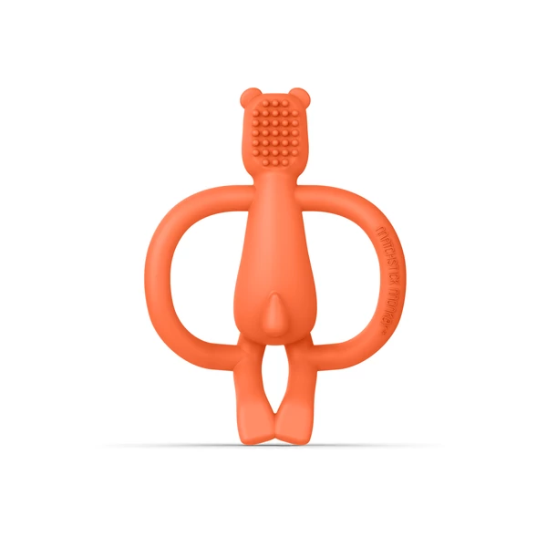 Maci alakú rágóka