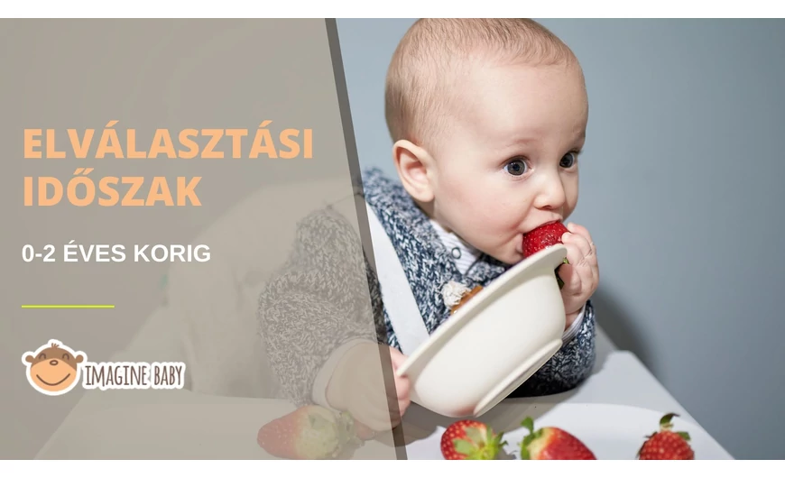 Elválasztási időszak 0-2 éves korig