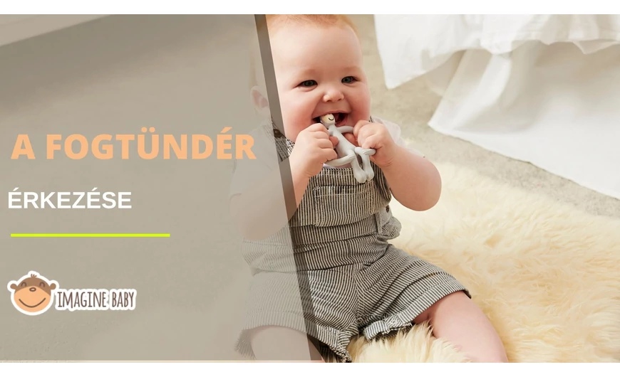 A fogtündér érkezése!