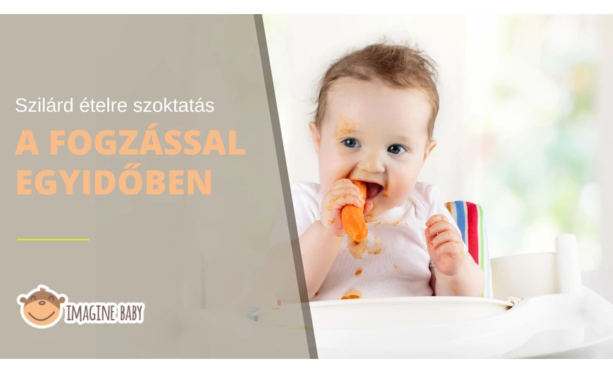 Szilárd ételre szoktatás a fogzással egyidőben